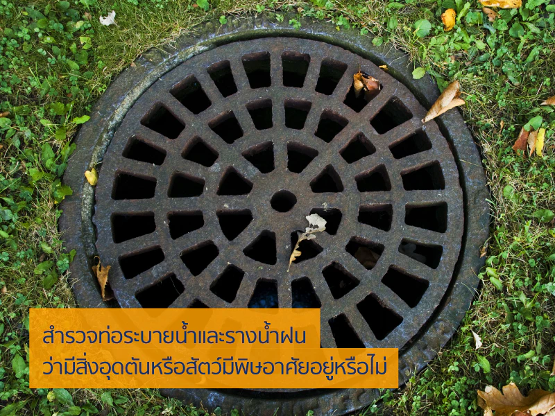 บ้าน