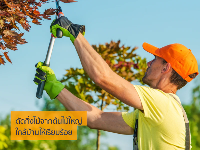 บ้าน