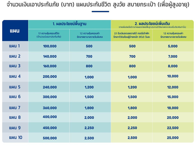 ประกันผู้สูงอายุ