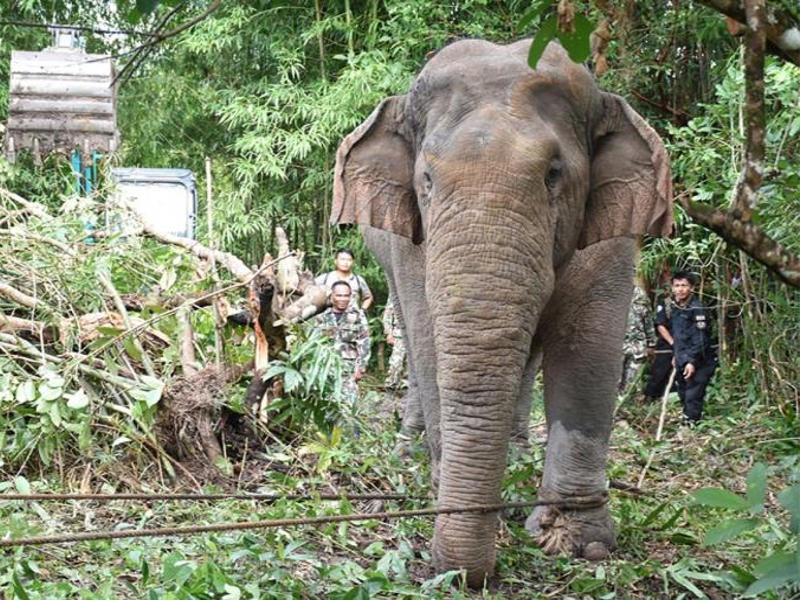 ถ้ำหลวง
