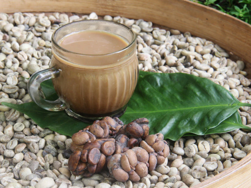 เที่ยวอินโดนีเซีย ต้องลองชิมกาแฟขี้ชะมด