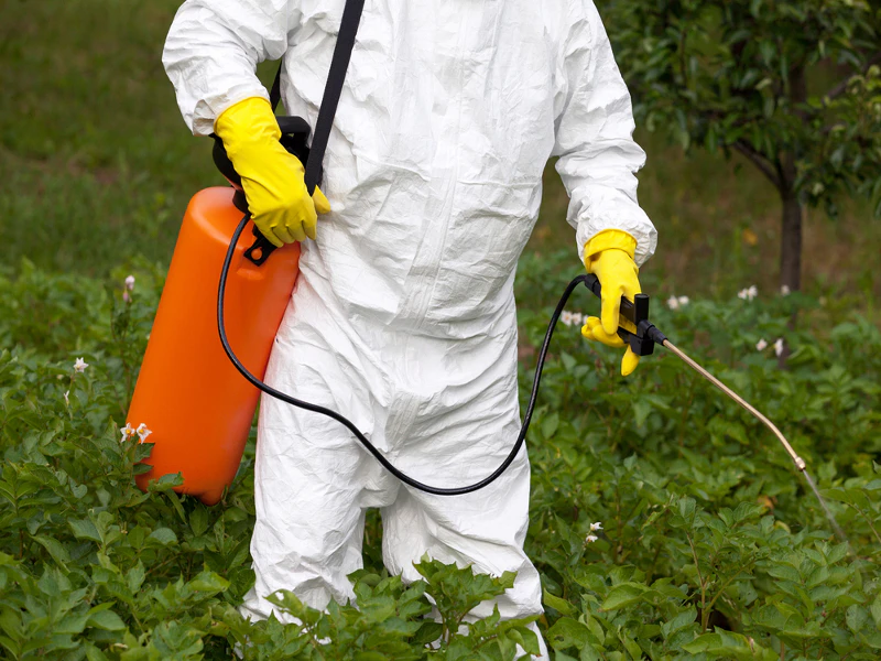 สารคลอร์ไพริฟอส (Chlorpyrifos) ที่ทำให้ระบบประสาททำงานมากขึ้น และคล้ายโรคสมาธิสั้นหรือออทิสติก
