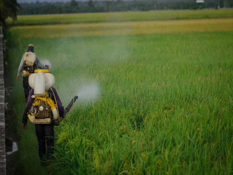 สารไกลโฟเซต (Glyphosate) เป็นสารเคมีก่อให้เกิดโรคมะเร็ง