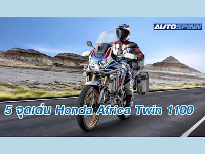 Rabbit Care Blog Image 53445