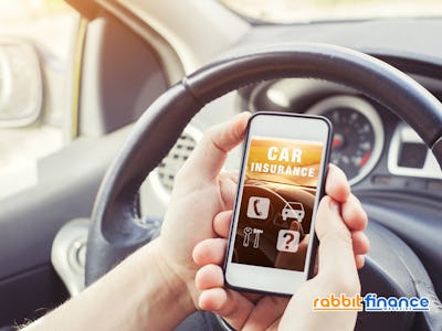 Rabbit Care Blog Image 53894