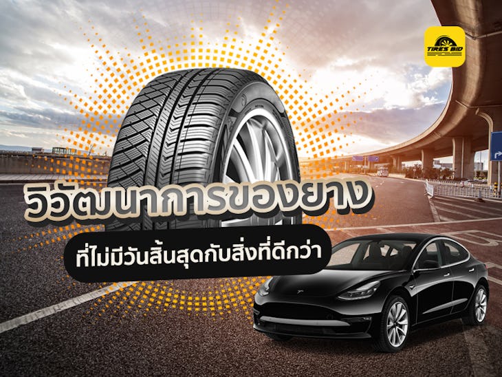 วิวัฒนาการของยาง