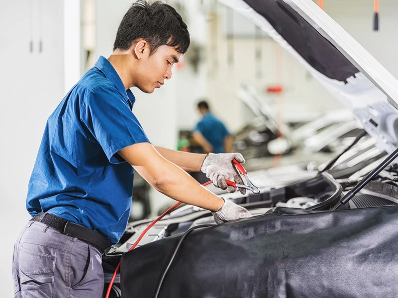 What Is The Maintenance Schedule Milestones
