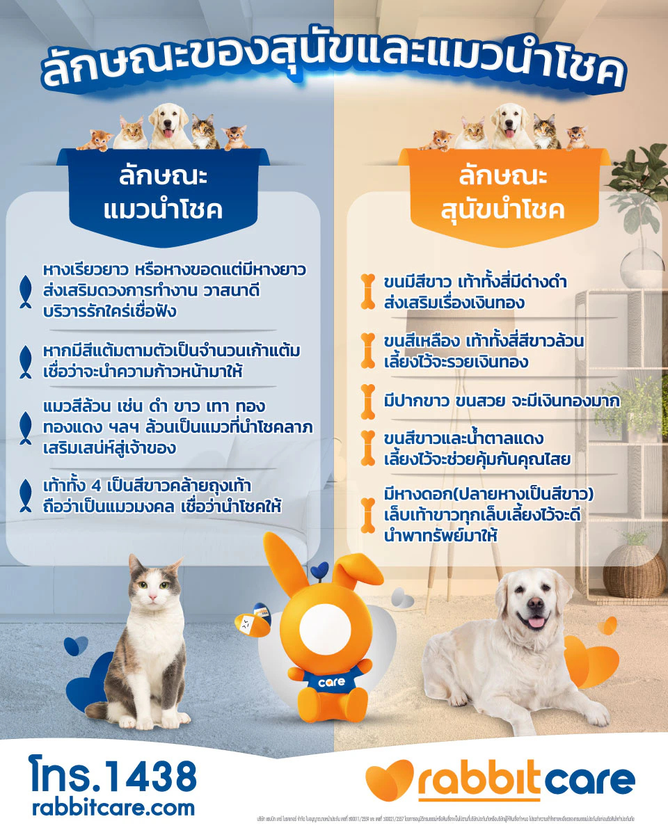 แมวไทย