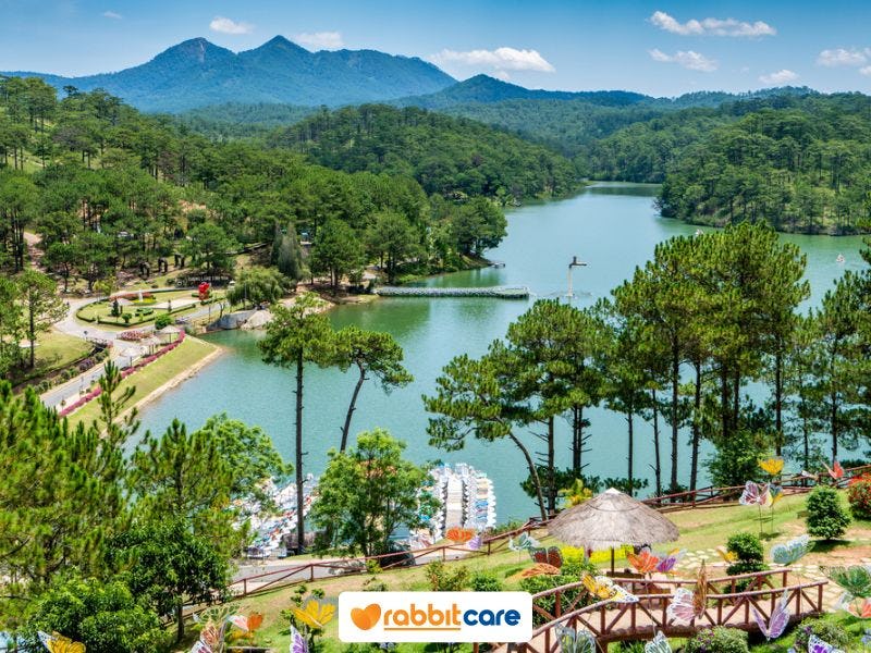 ที่เที่ยวเวียดนาม เมืองดาลัด หุบเขาแห่งความรัก (Valley of love)