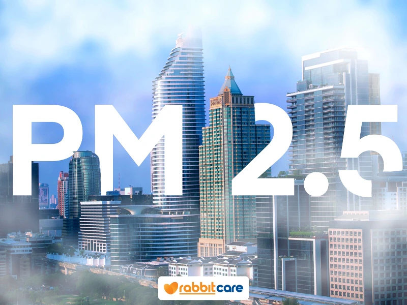 ค่าฝุ่น pm 2.5, pm 2.5