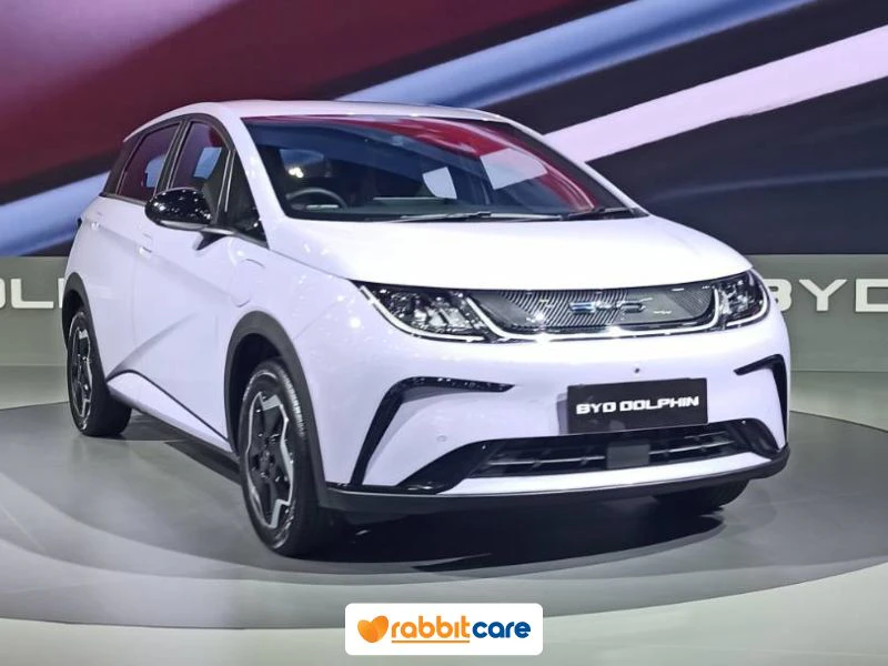 BYD Dolphin