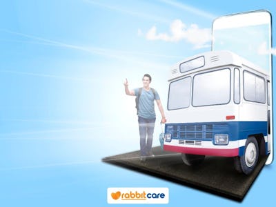 Rabbit Care Blog Image 84154