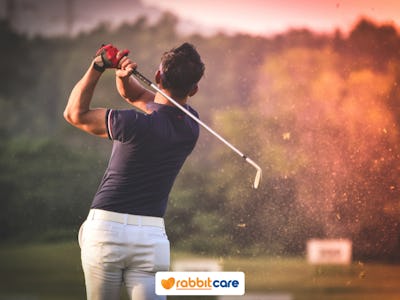 Rabbit Care Blog Image 84626