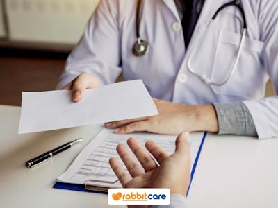 Rabbit Care Blog Image 84454