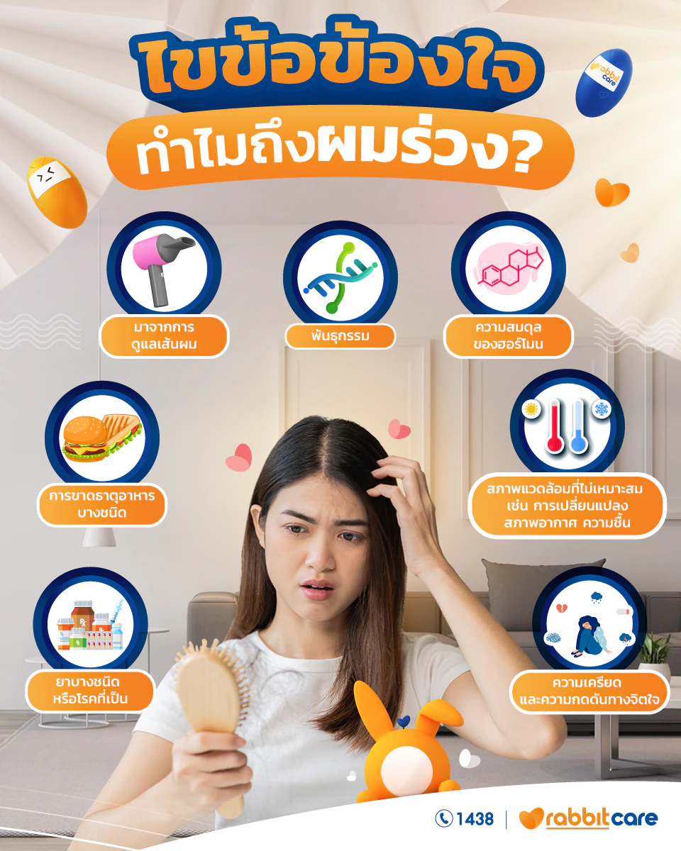 ทำไมผมร่วง infographic