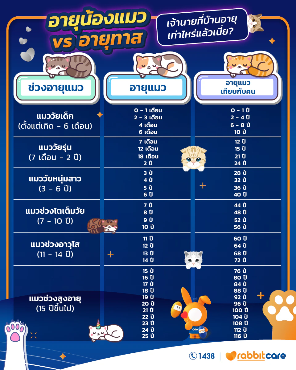 ตารางดูอายุแมว