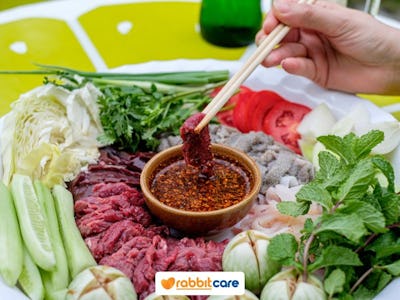 Rabbit Care Blog Image 85248