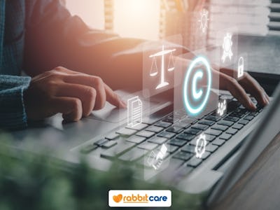 Rabbit Care Blog Image 87186