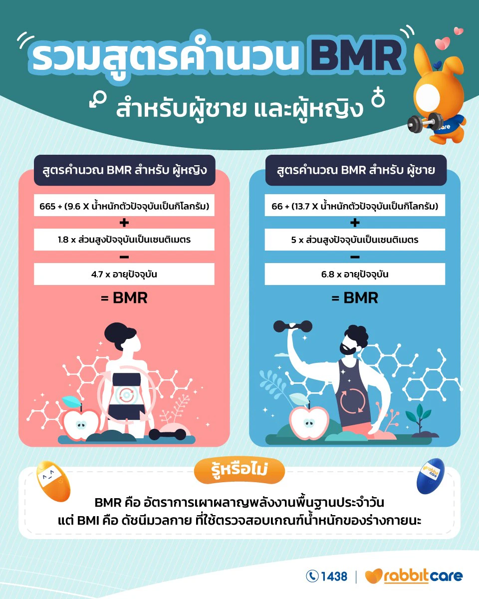 BMR หรือ Basal Metabolic Rate คือ