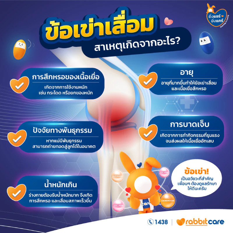 ข้อเข่าเสื่อม เกิดจากอะไร?