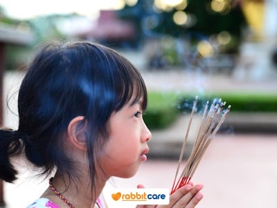 Rabbit Care Blog Image 88581