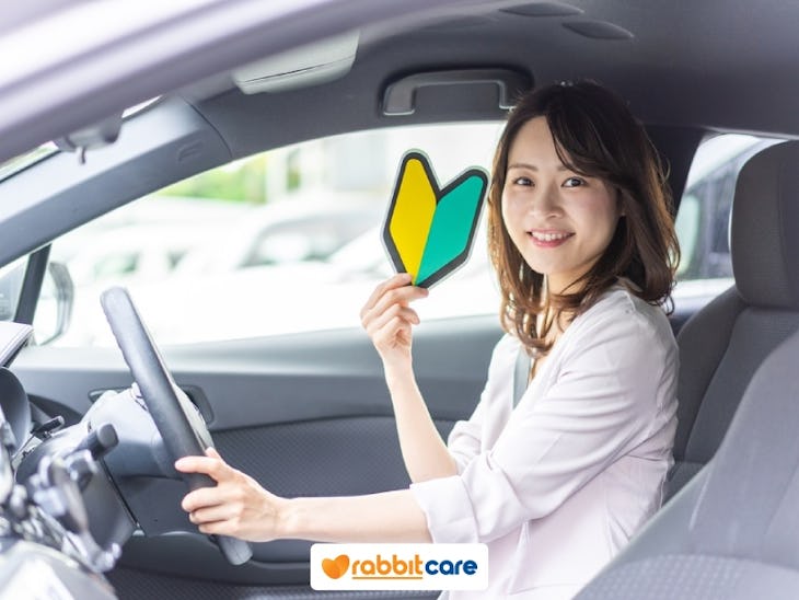 มือใหม่หัดขับ