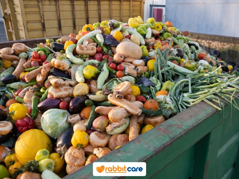 food waste คือ