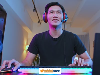 Rabbit Care Blog Image 84983