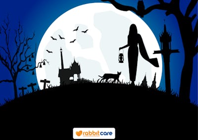 Rabbit Care Blog Image 84669