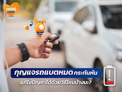 Rabbit Care Blog Image 96140