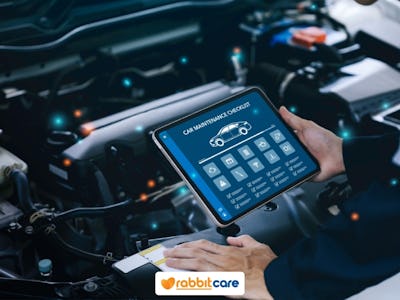 Rabbit Care Blog Image 96012