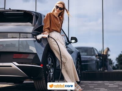 Rabbit Care Blog Image 94332