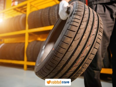 Rabbit Care Blog Image 97312