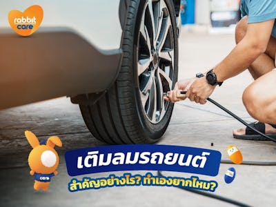 Rabbit Care Blog Image 97267