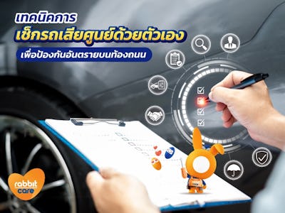 Rabbit Care Blog Image 97234