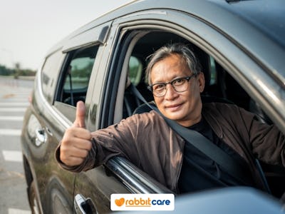 Rabbit Care Blog Image 99317