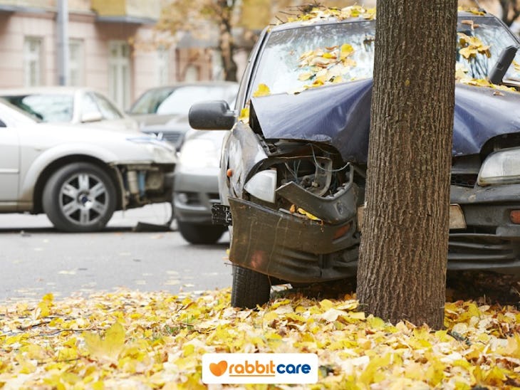 รถชนต้นไม้