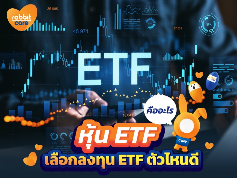 Rabbit Care Blog Image 104350