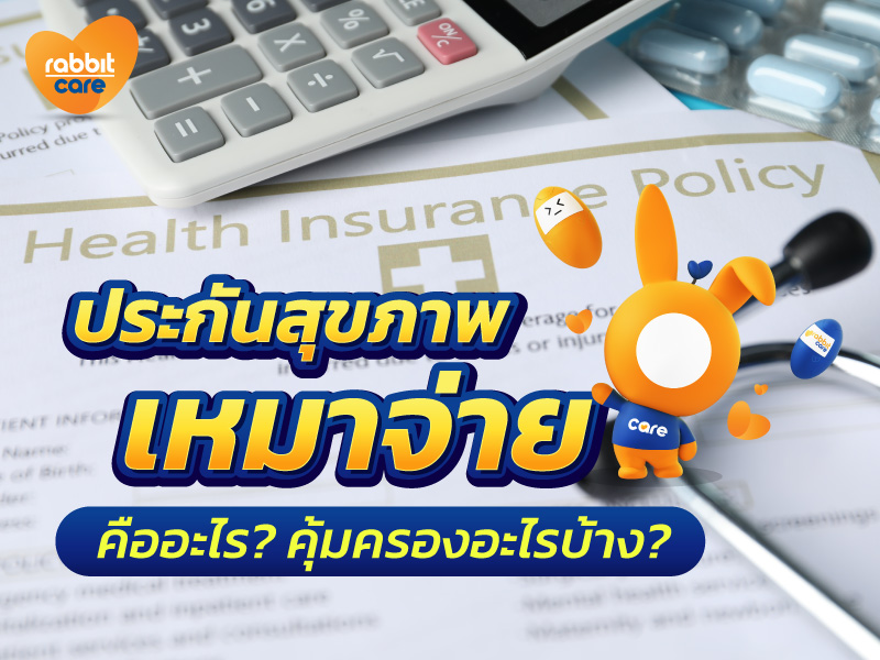 Rabbit Care Blog Image 106069