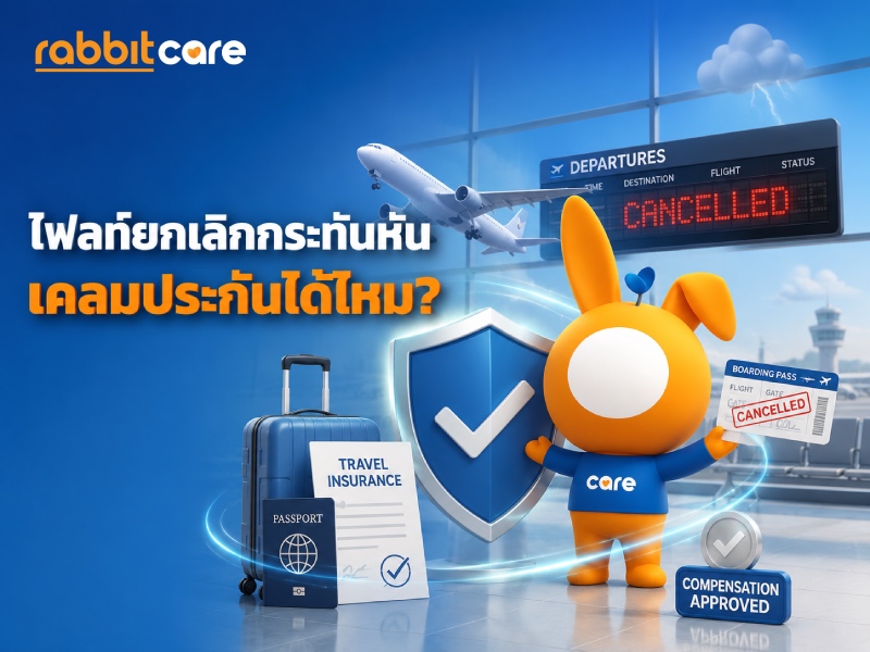 ผู้โดยสารตรวจสอบเที่ยวบินที่ถูกยกเลิก พร้อมข้อมูลการเคลมประกันเดินทางและสิทธิขอคืนเงินจากสายการบิน